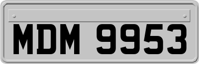 MDM9953