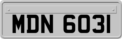 MDN6031