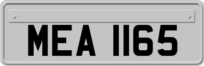 MEA1165