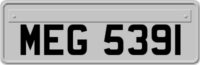 MEG5391