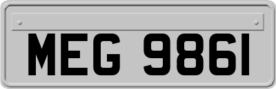 MEG9861