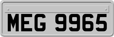 MEG9965