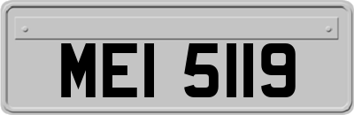 MEI5119