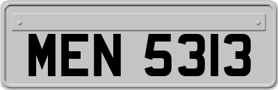 MEN5313