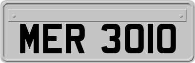 MER3010