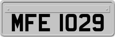MFE1029