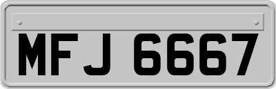 MFJ6667
