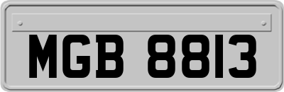 MGB8813