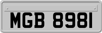 MGB8981