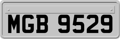 MGB9529
