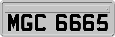MGC6665