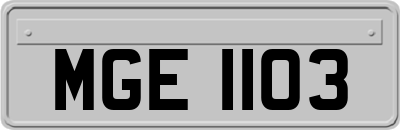 MGE1103
