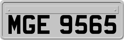 MGE9565
