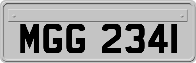 MGG2341
