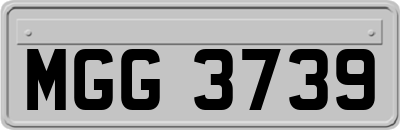 MGG3739