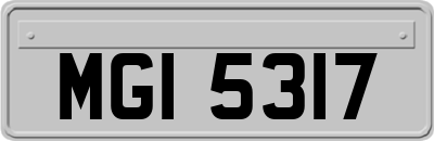 MGI5317
