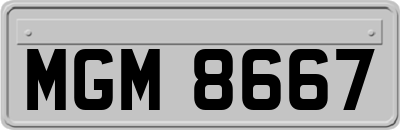 MGM8667