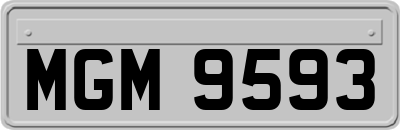 MGM9593
