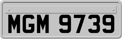 MGM9739