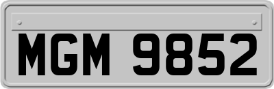 MGM9852
