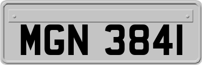 MGN3841