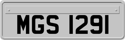 MGS1291