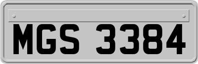 MGS3384