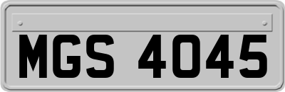 MGS4045