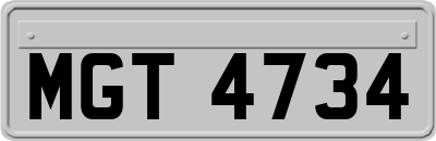 MGT4734