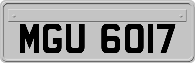 MGU6017
