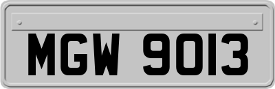 MGW9013