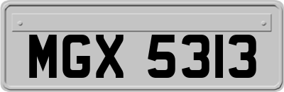 MGX5313