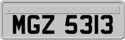 MGZ5313