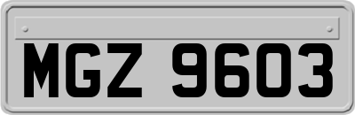 MGZ9603