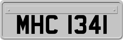 MHC1341