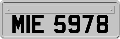 MIE5978