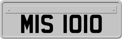 MIS1010