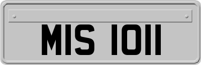 MIS1011