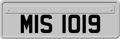 MIS1019