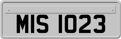 MIS1023