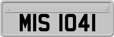 MIS1041