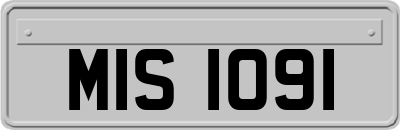 MIS1091