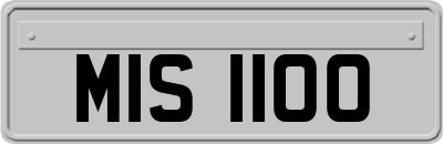 MIS1100