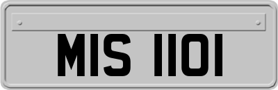 MIS1101