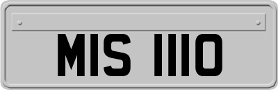 MIS1110