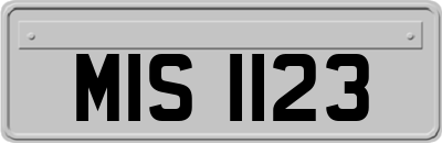 MIS1123
