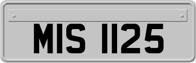 MIS1125