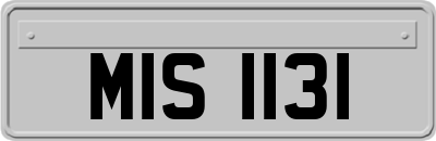 MIS1131