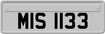MIS1133
