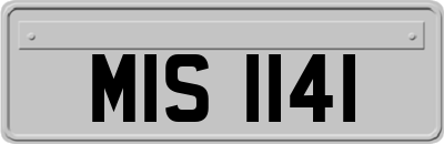 MIS1141